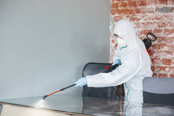 Best Asbestos and Lead Testing During Mold Inspection  in Janesville, WI